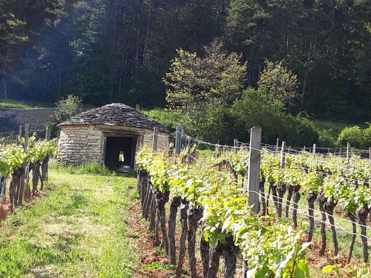 مبيت وإفطار Marey-les-Fussey Le Bois De Laval المظهر الخارجي الصورة