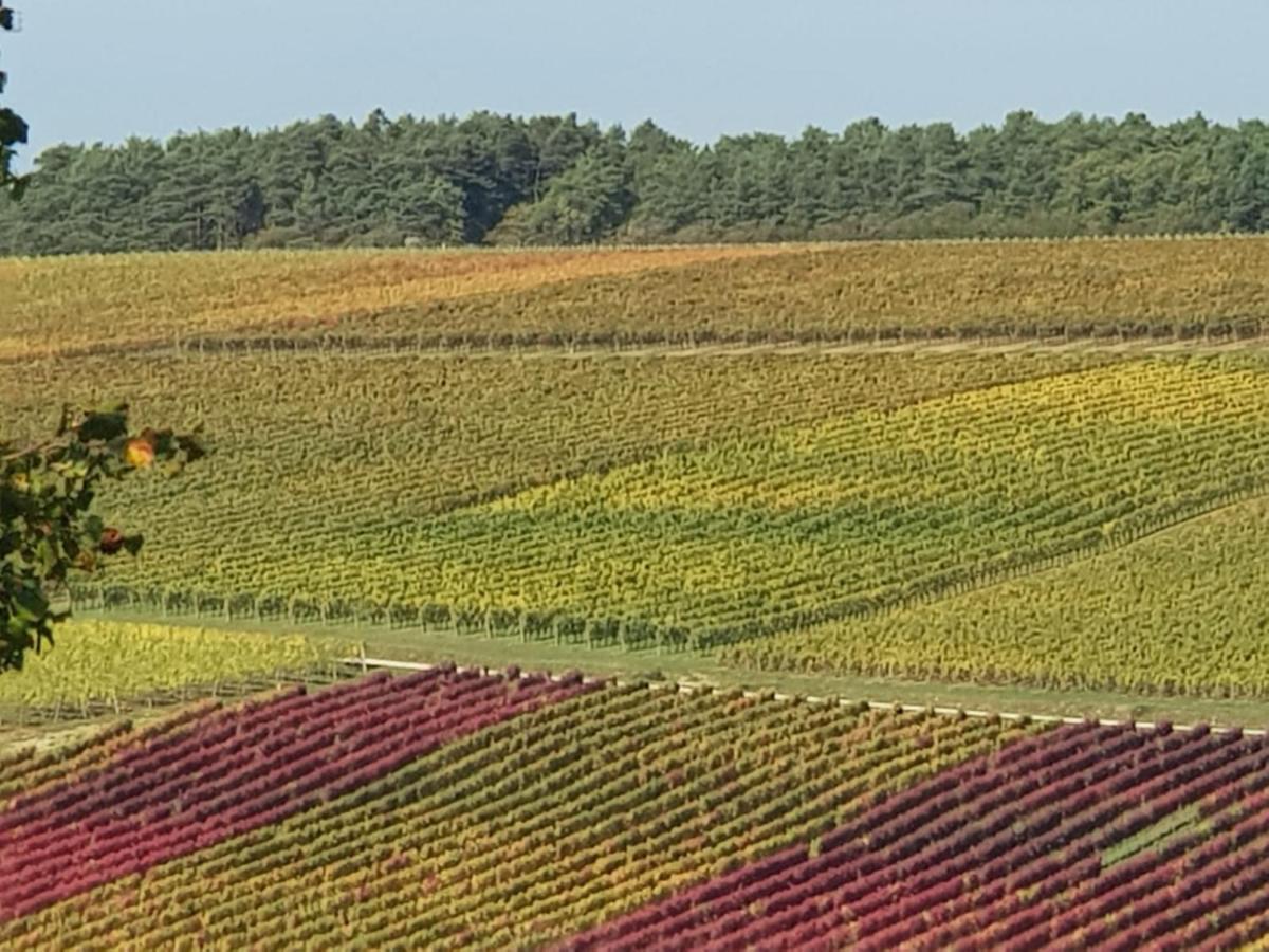 مبيت وإفطار Marey-les-Fussey Le Bois De Laval المظهر الخارجي الصورة